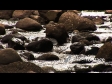 River1 416
